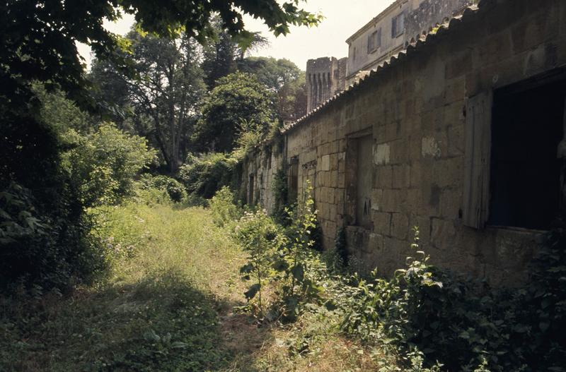 Mur des caves : mur est.