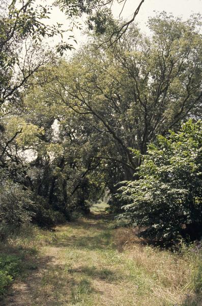 Ferme : allée d'accès, parcelle D 21.