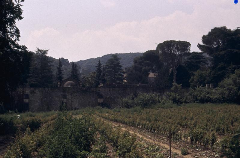 Mur arrière du nymphée, vue depuis la ferme.