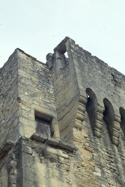 Tour isolée, mâchicoulis.