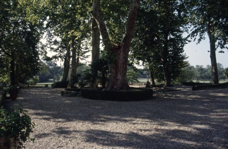 Parc : terrasse arborée.