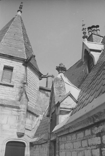 Tour d'escalier, gargouilles.