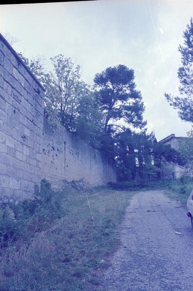 Mur de soutènement sud, longeant la rue montée du château.