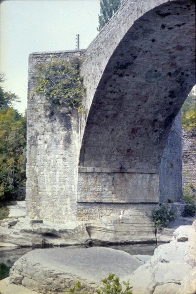 Pont