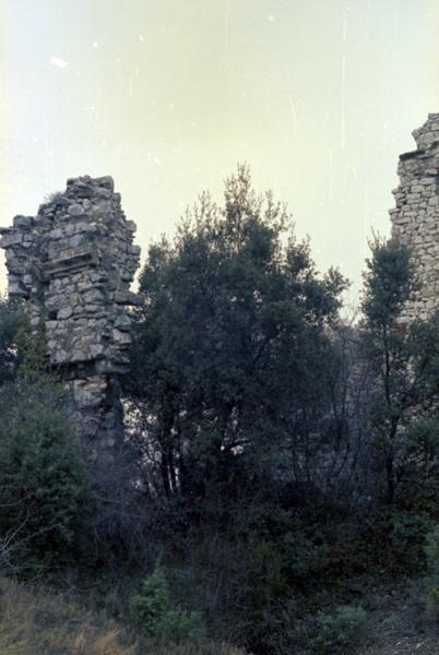 Restes du mur sud de la grande salle jouxtant la chapelle.