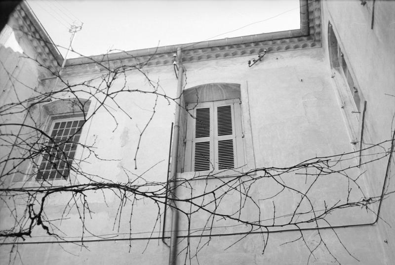 Façade sur cour arrière, détail.