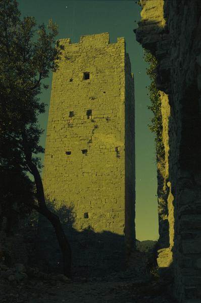 Ruines de la tour carrée.