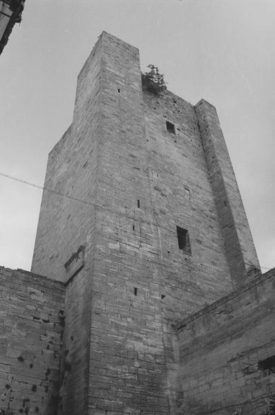 Vue générale de la tour de l'Evêque.