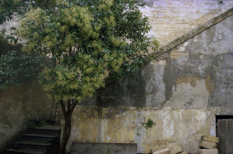 Cour sud, escalier menant à la salle voûtée du 1er étage.