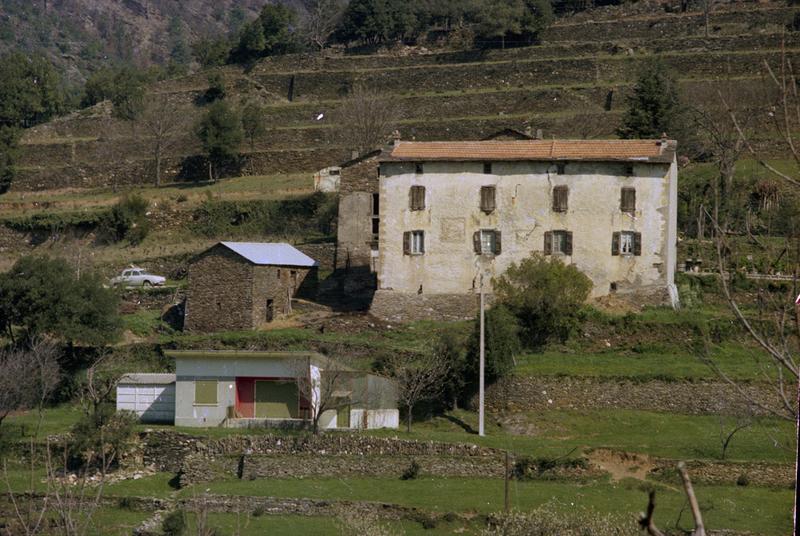 Vue des bâtiments d'exploitation, dans un paysage de faïsses ou bancels.