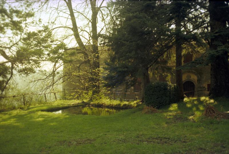 Vue d'ensemble, côté nord : parc, pièce d'eau.