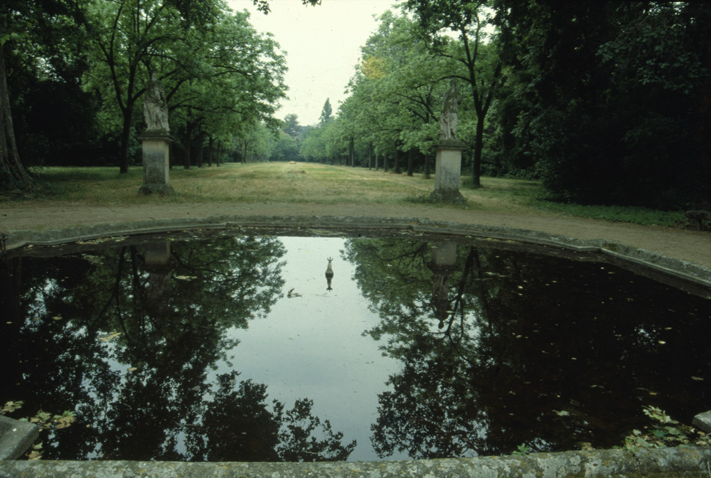 Jardin. Bassin.