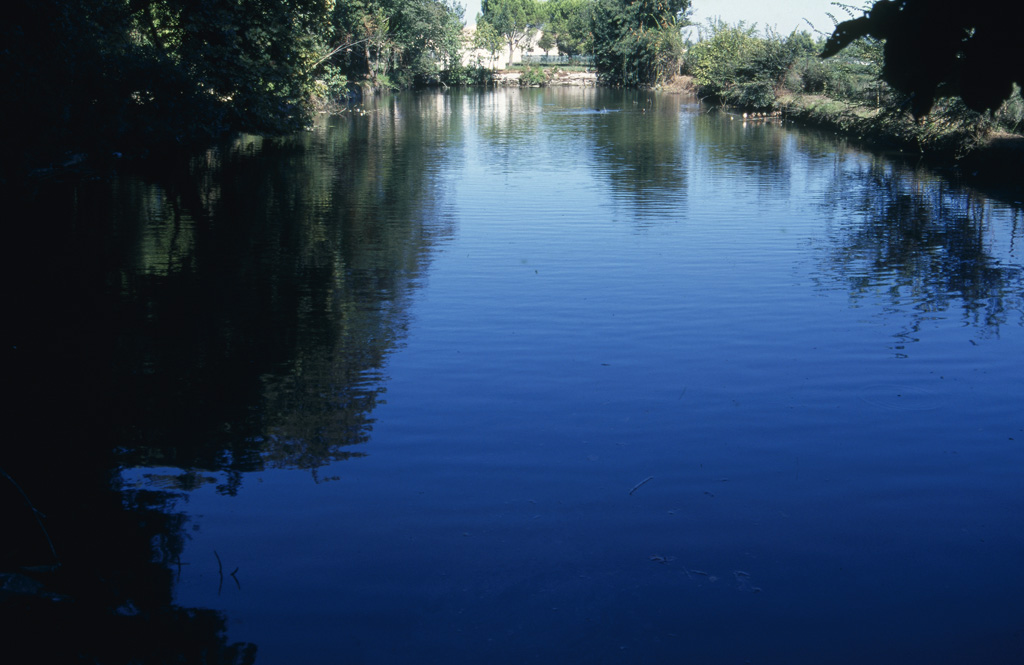 Parc. Vivier.