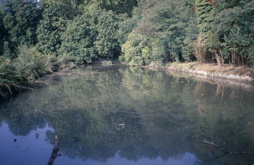 Parc. Ruisseau.