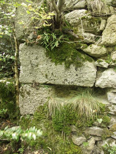 Vestiges du bâtiment de l'hospice : chaînage d'angle sud-est.