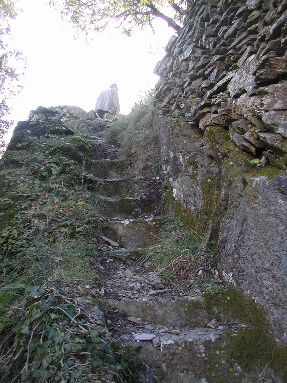 abbaye Saint-Pierre-de-Nayran (ruines de l'ancienne)