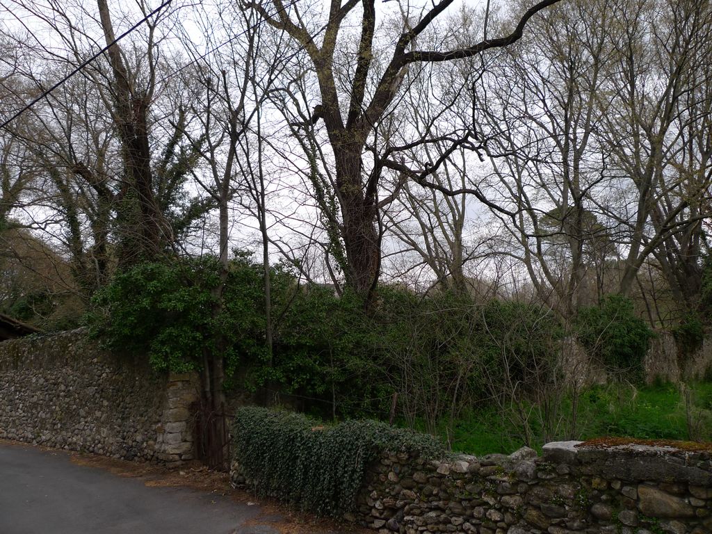 parc et mur de l'enceinte extérieure, côté sud.