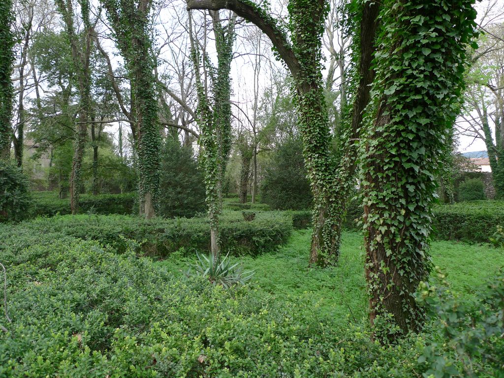 Parc, labyrinthe de buis.