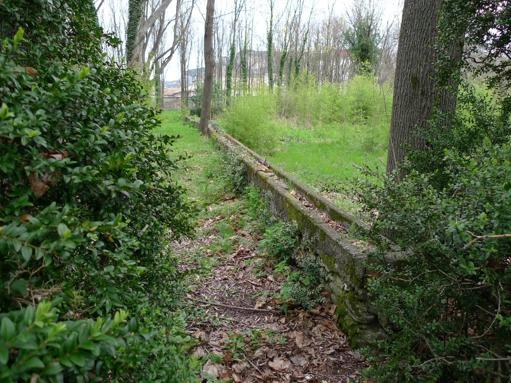 Parc, canalet d'irrigation.