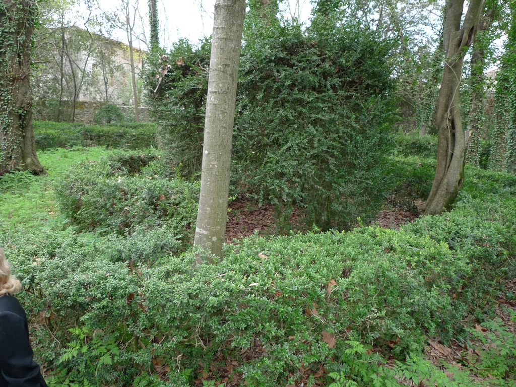 Parc, labyrinthe de buis, coeur de l'escargot.