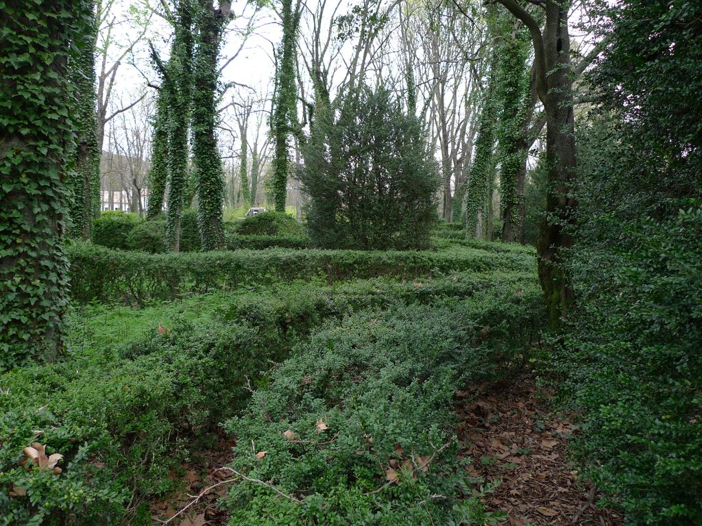 Parc, labyrinthe de buis.