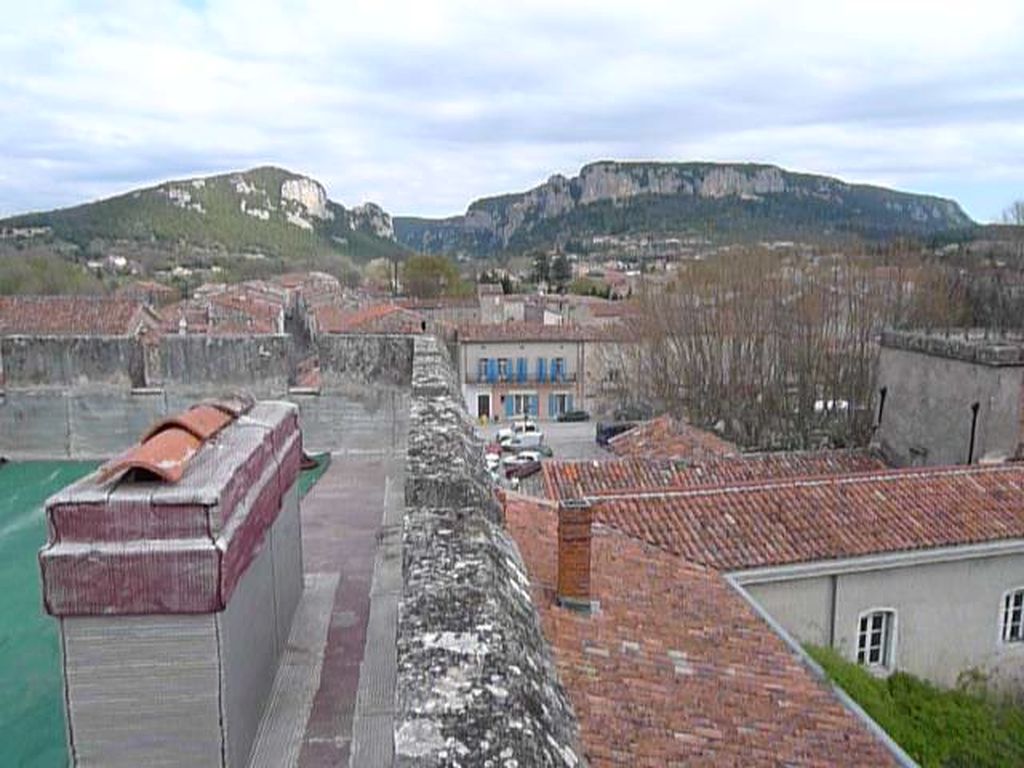 vue générale du village depuis la tour du château, vers le nord.