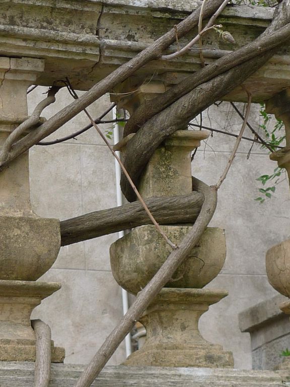 Terrasse, balustre.