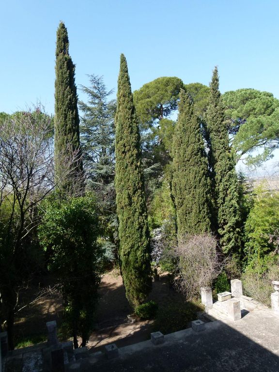 Terrasse.