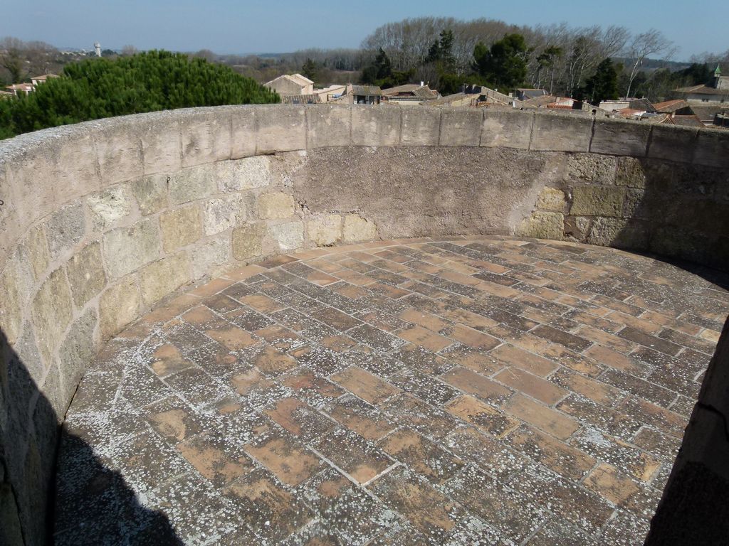 Tour. Terrasse supérieure.