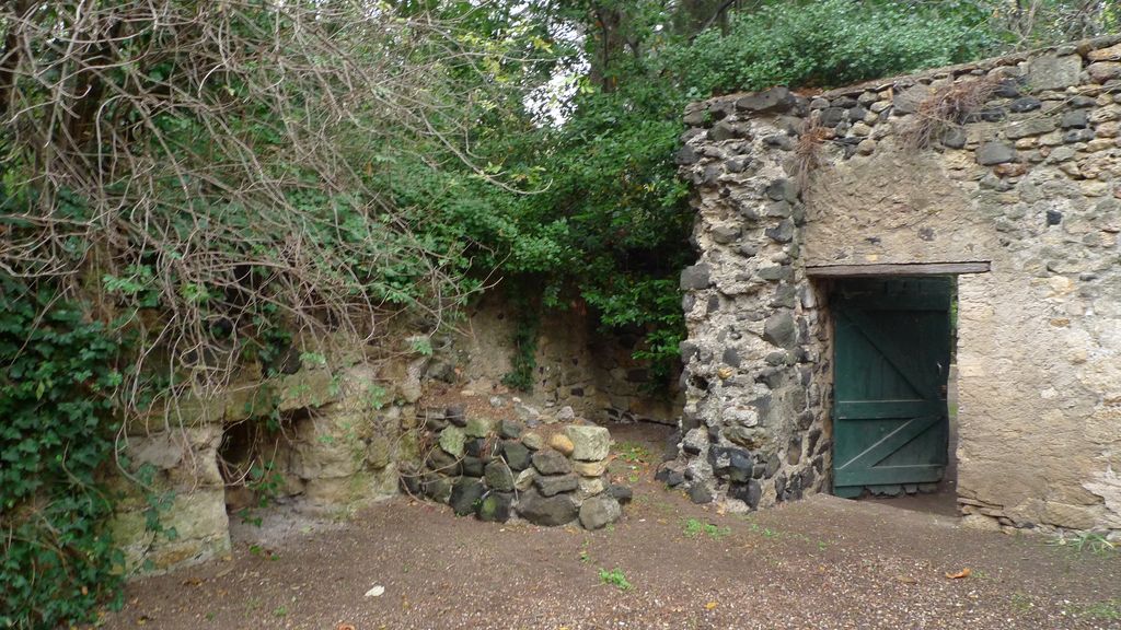 cour arrière, vestige de mur fortifié avec meurtière au niveau du sol.