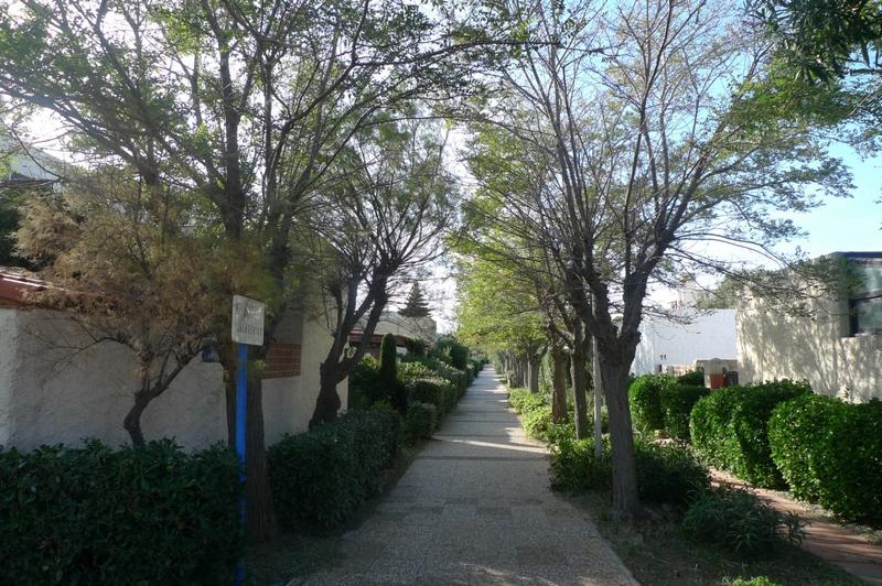 Village grec construit par Candilis : allée piétonne séparant les villas.