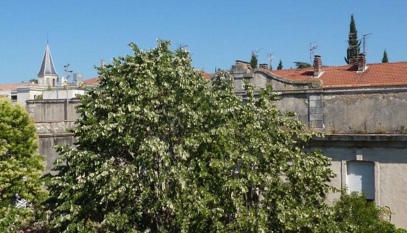 Façade sur jardin : dernier niveau avec amortissement de la travée centrale.