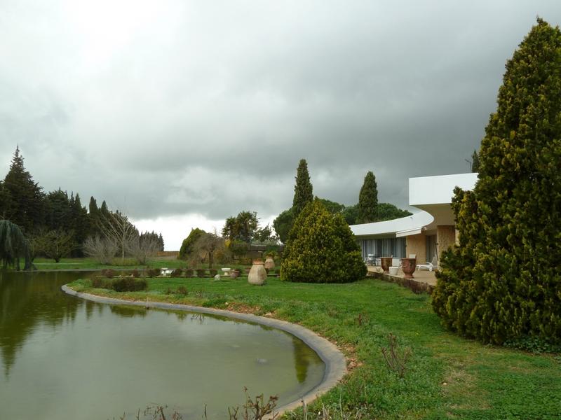 Courbes de la façade sud et du bassin.