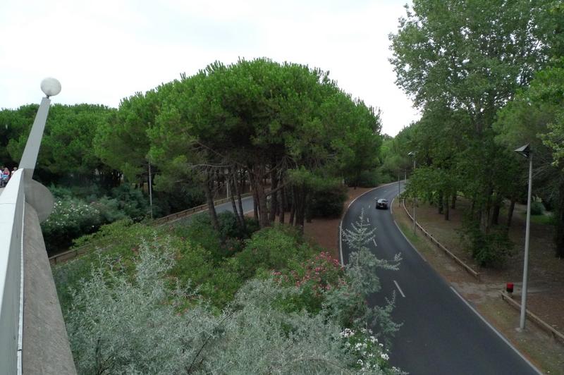 La ville parc : le parkway avec son ruban routier inserré dans une forêt de pins, vu depuis l'une des passerelles aux escargots, permettant le franchissement piéton.