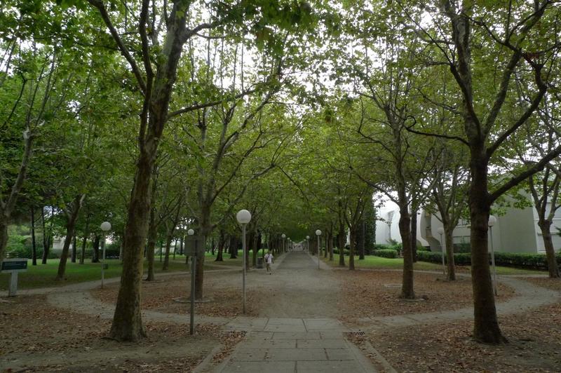 La ville verte : allée cavalière menant du point zéro au quartier du Levant.