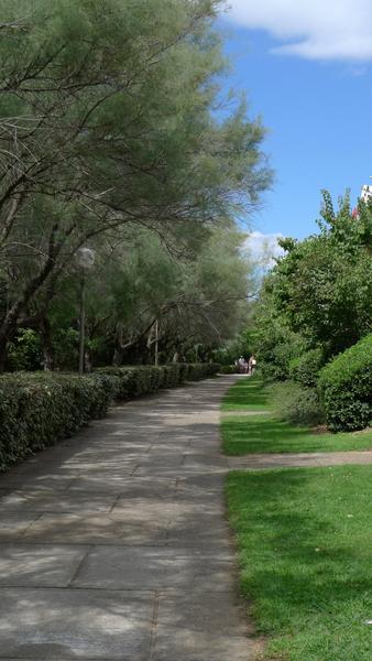 La ville verte : allée dans le quartier du Couchant.