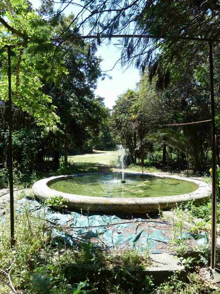 Parc côté sud : le bassin entouré d'une pergola métallique.