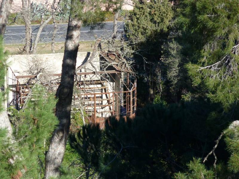 Parc côté sud : bordant la route, une serre métallique très dégradée.