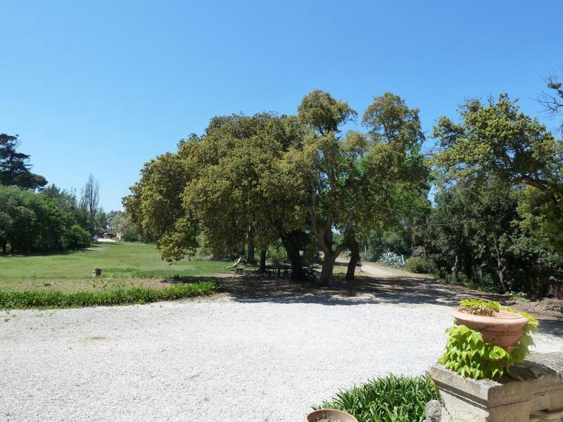 Parc côté nord : parterre devant façade principale.