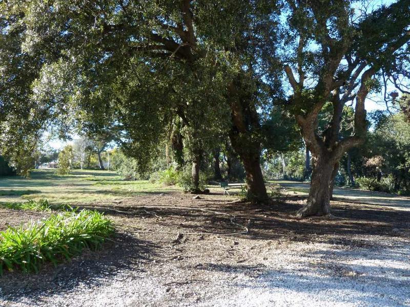 Parc côté nord : allée entourant parterre devant façade principale.