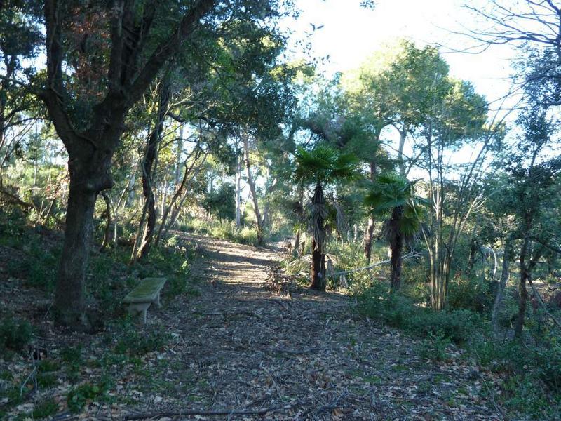 Parc côté nord : allée partant du côté est de la façade principale.