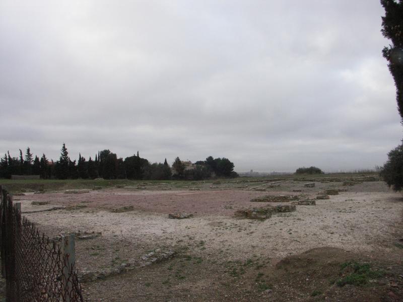 Vue des vestiges du forum.