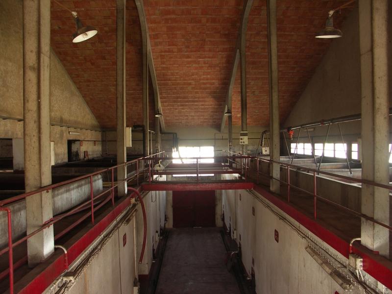 Cave de vinification : agrandissement par Villeneuve en 1962. Charpente béton.