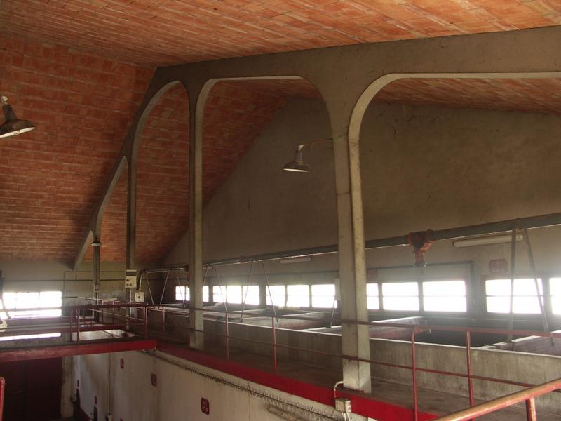 Cave de vinification : agrandissement par Villeneuve en 1962. Charpente béton.