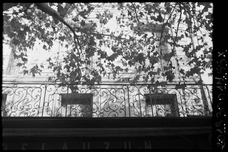 Grilles en fer forgé (balcon et fenêtres) de la façade sur l'esplanade.