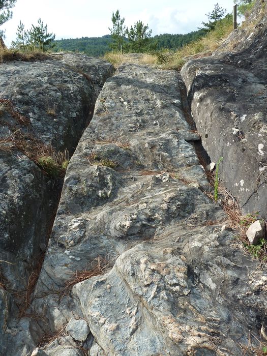 Voie romaine de Coudoulous avec ornières et traces de passage des chars.