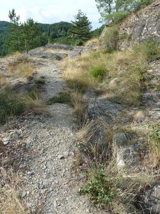 Voie romaine de Coudoulous avec ornières et traces de passage des chars.