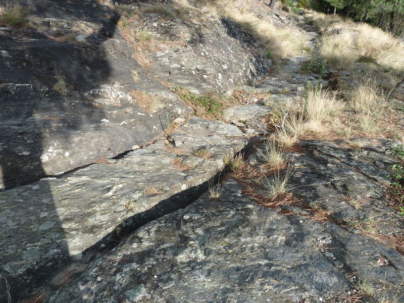 Voie romaine de Coudoulous avec ornières et traces de passage des chars.