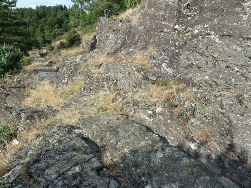 Voie romaine de Coudoulous avec ornières et traces de passage des chars.