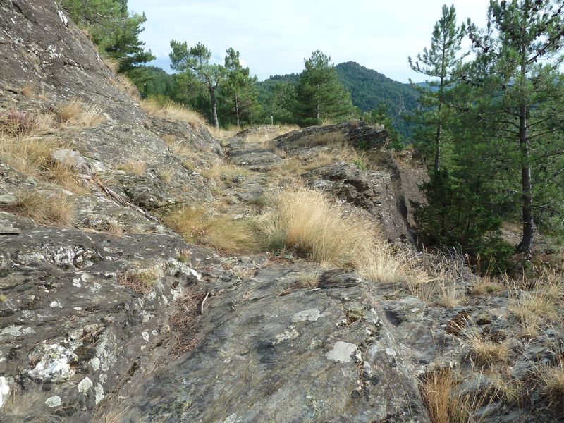 Voie romaine de Coudoulous avec ornières et traces de passage des chars.